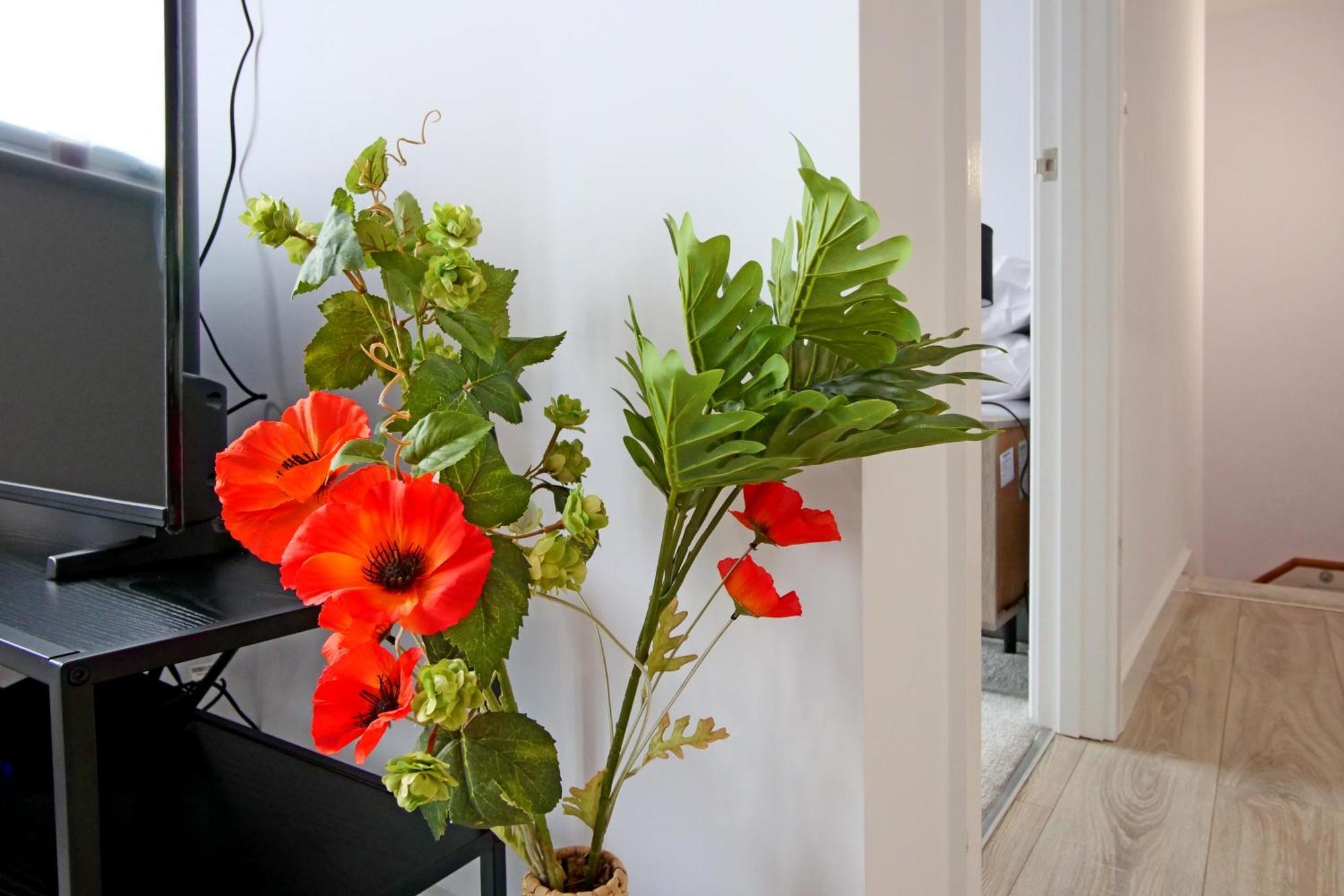 Apartment 46 Luna With Free Parking ยอร์ค ภายนอก รูปภาพ